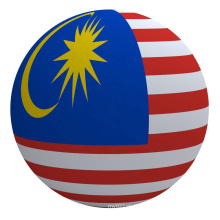 China To Malaysia Door To Door Logistic Service